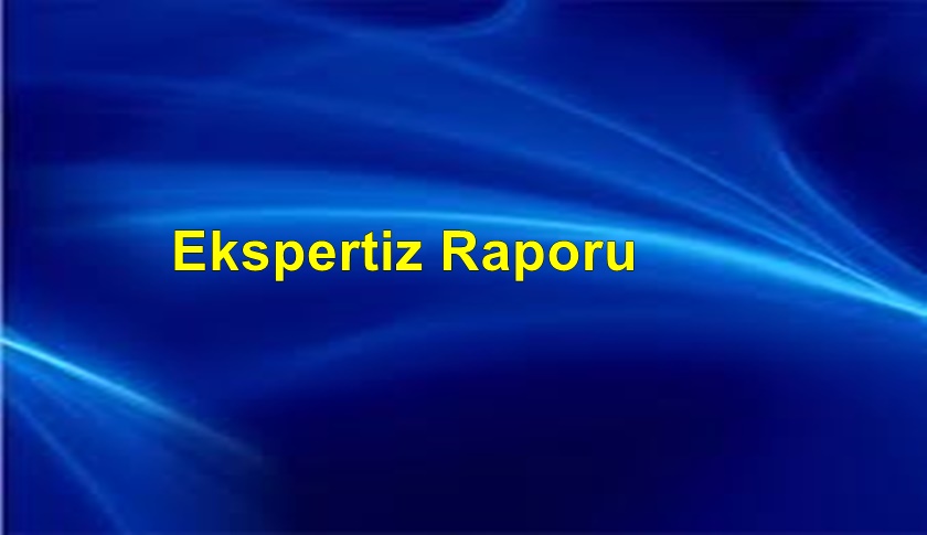 EKSPERTİZ RAPORLARI